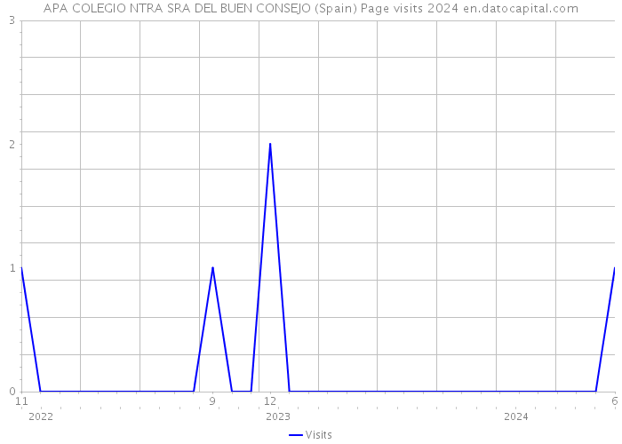 APA COLEGIO NTRA SRA DEL BUEN CONSEJO (Spain) Page visits 2024 