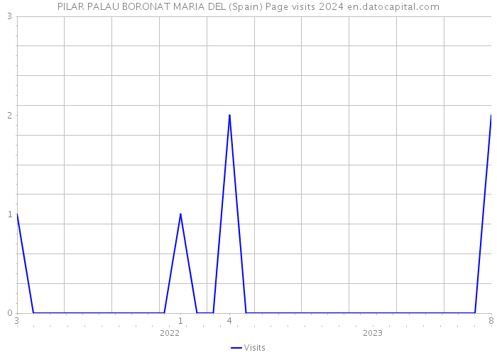 PILAR PALAU BORONAT MARIA DEL (Spain) Page visits 2024 