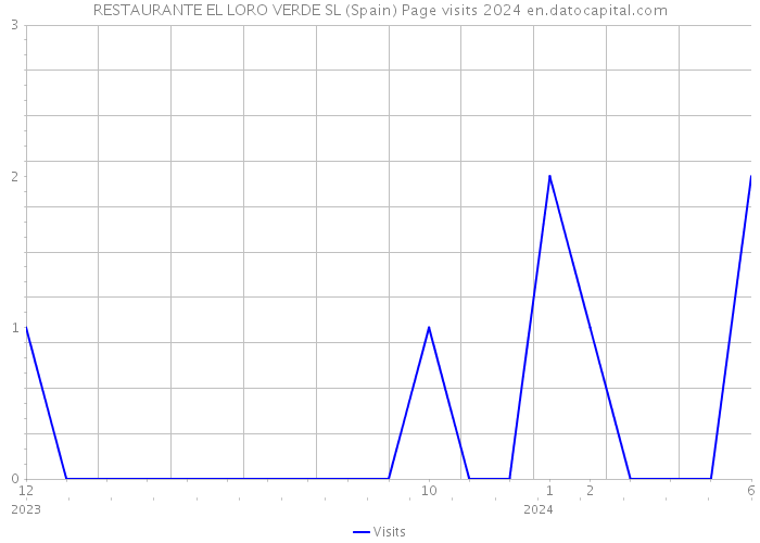 RESTAURANTE EL LORO VERDE SL (Spain) Page visits 2024 