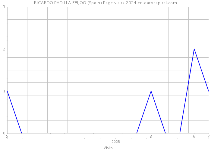 RICARDO PADILLA FEIJOO (Spain) Page visits 2024 