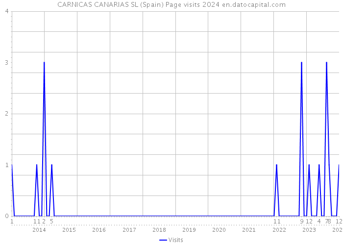 CARNICAS CANARIAS SL (Spain) Page visits 2024 