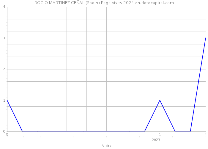 ROCIO MARTINEZ CEÑAL (Spain) Page visits 2024 