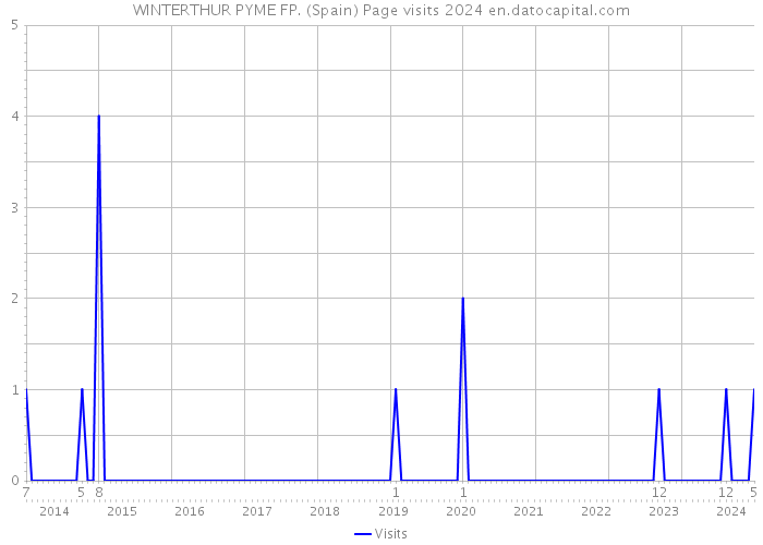 WINTERTHUR PYME FP. (Spain) Page visits 2024 