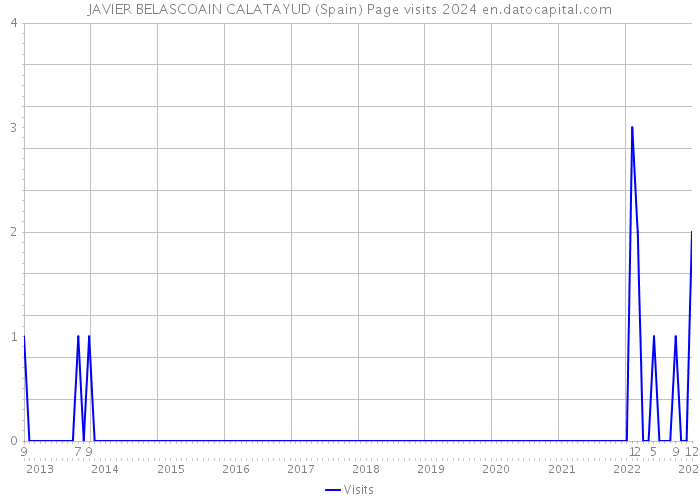 JAVIER BELASCOAIN CALATAYUD (Spain) Page visits 2024 