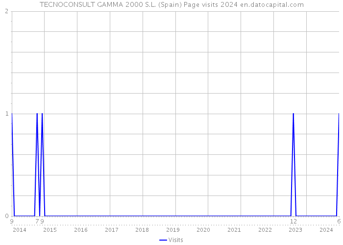 TECNOCONSULT GAMMA 2000 S.L. (Spain) Page visits 2024 