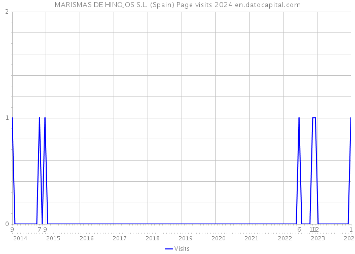 MARISMAS DE HINOJOS S.L. (Spain) Page visits 2024 