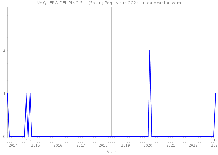 VAQUERO DEL PINO S.L. (Spain) Page visits 2024 