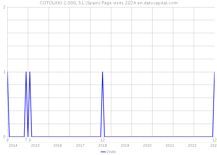 COTOLINO 2.000, S.L (Spain) Page visits 2024 