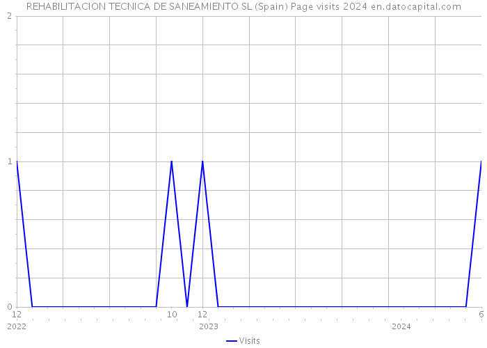 REHABILITACION TECNICA DE SANEAMIENTO SL (Spain) Page visits 2024 