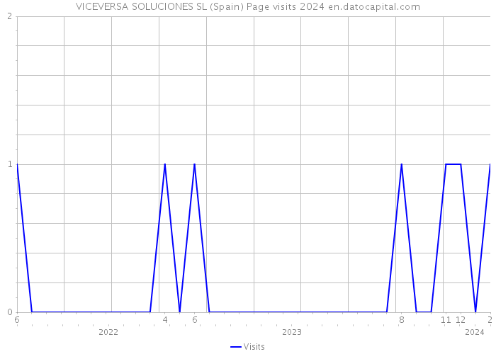 VICEVERSA SOLUCIONES SL (Spain) Page visits 2024 