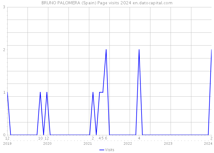 BRUNO PALOMERA (Spain) Page visits 2024 