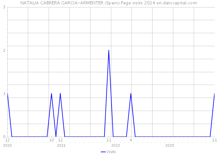 NATALIA CABRERA GARCIA-ARMENTER (Spain) Page visits 2024 