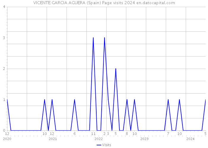 VICENTE GARCIA AGUERA (Spain) Page visits 2024 