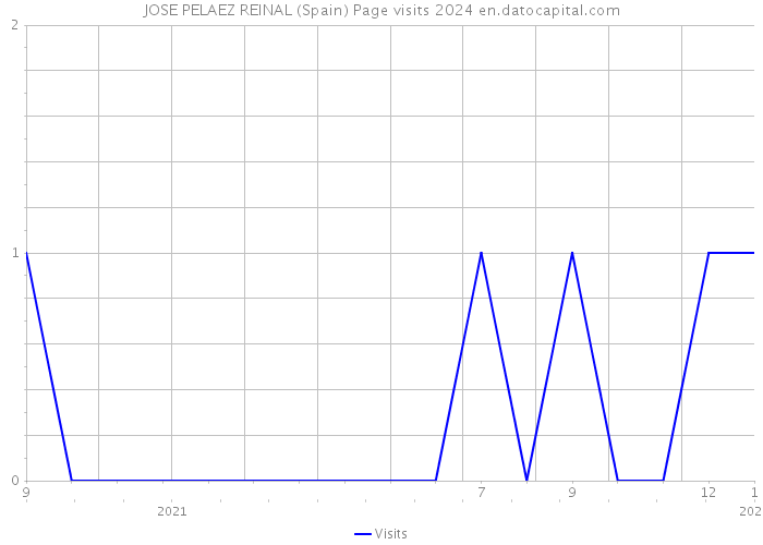 JOSE PELAEZ REINAL (Spain) Page visits 2024 