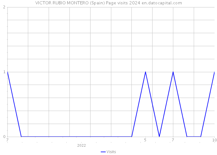 VICTOR RUBIO MONTERO (Spain) Page visits 2024 