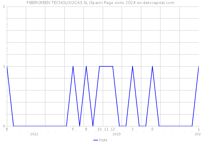FIBERGREEN TECNOLOGICAS SL (Spain) Page visits 2024 