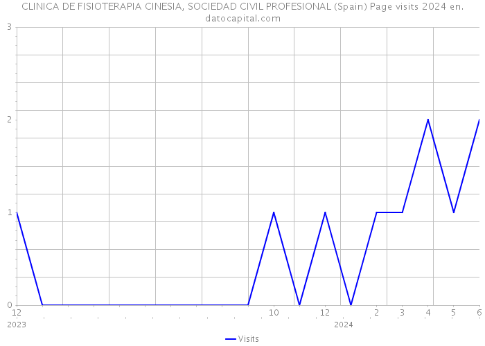 CLINICA DE FISIOTERAPIA CINESIA, SOCIEDAD CIVIL PROFESIONAL (Spain) Page visits 2024 