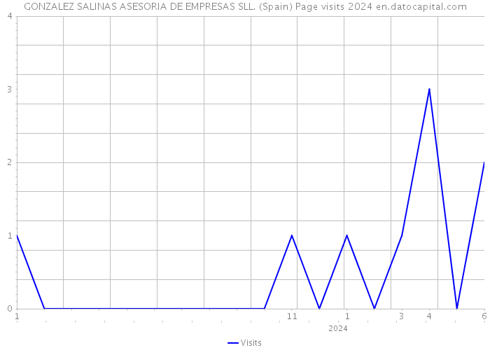 GONZALEZ SALINAS ASESORIA DE EMPRESAS SLL. (Spain) Page visits 2024 