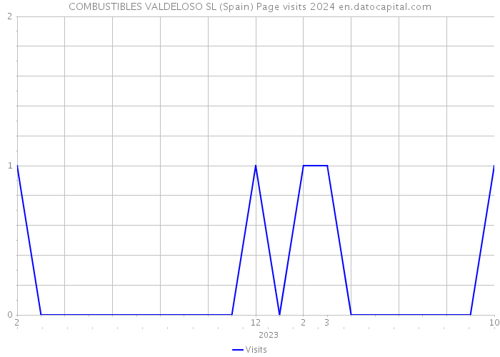 COMBUSTIBLES VALDELOSO SL (Spain) Page visits 2024 