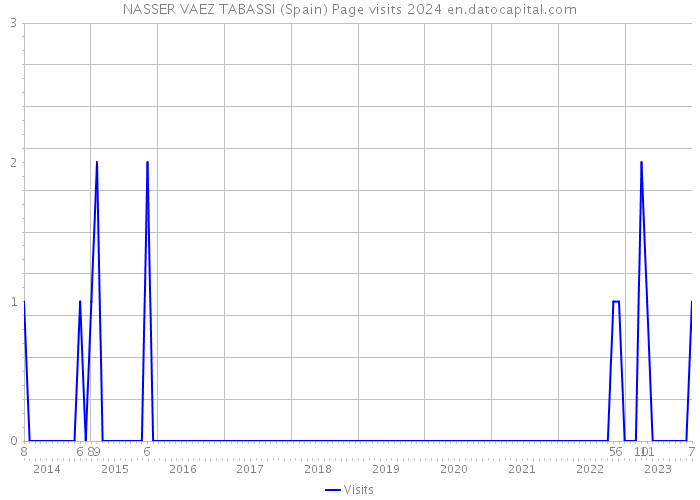 NASSER VAEZ TABASSI (Spain) Page visits 2024 