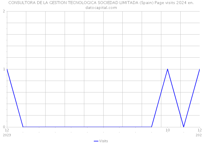 CONSULTORA DE LA GESTION TECNOLOGICA SOCIEDAD LIMITADA (Spain) Page visits 2024 
