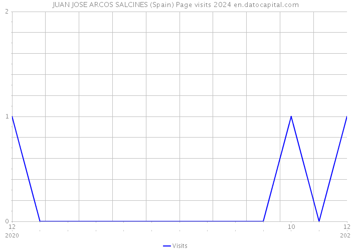 JUAN JOSE ARCOS SALCINES (Spain) Page visits 2024 