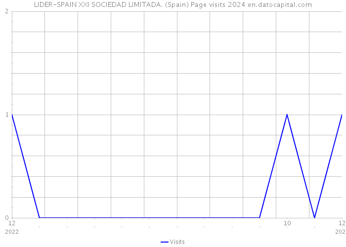 LIDER-SPAIN XXI SOCIEDAD LIMITADA. (Spain) Page visits 2024 