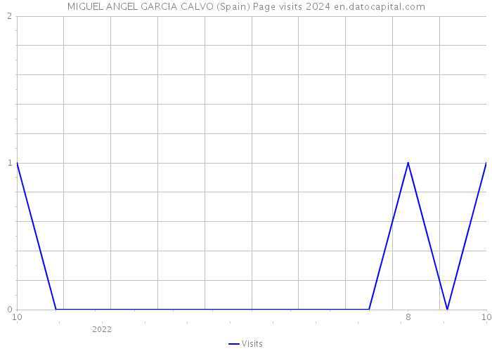 MIGUEL ANGEL GARCIA CALVO (Spain) Page visits 2024 