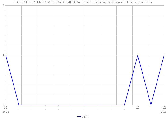 PASEO DEL PUERTO SOCIEDAD LIMITADA (Spain) Page visits 2024 