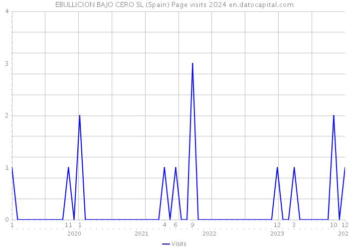 EBULLICION BAJO CERO SL (Spain) Page visits 2024 