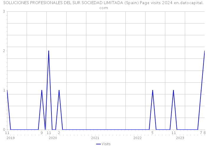 SOLUCIONES PROFESIONALES DEL SUR SOCIEDAD LIMITADA (Spain) Page visits 2024 