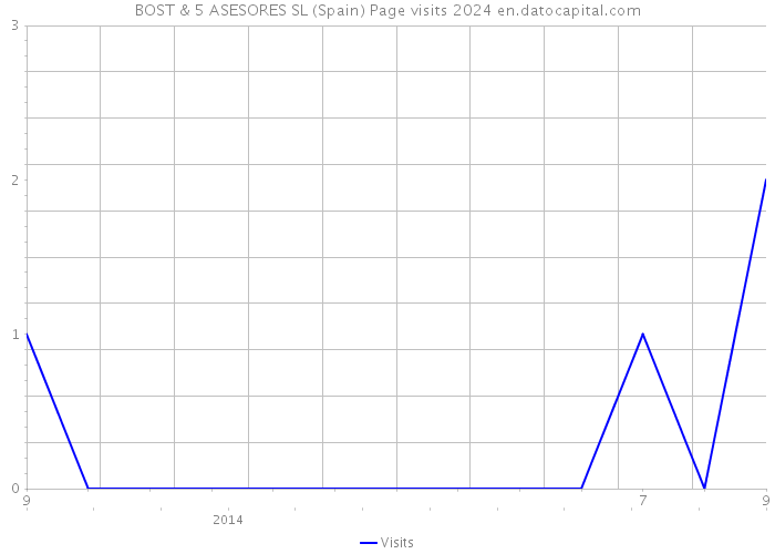 BOST & 5 ASESORES SL (Spain) Page visits 2024 