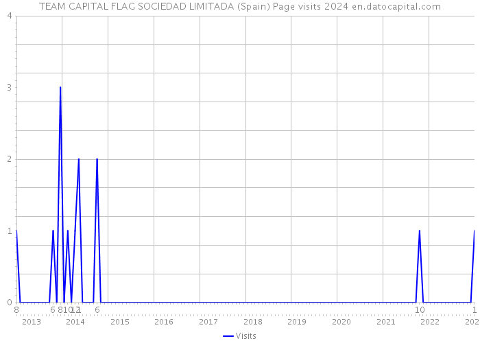 TEAM CAPITAL FLAG SOCIEDAD LIMITADA (Spain) Page visits 2024 