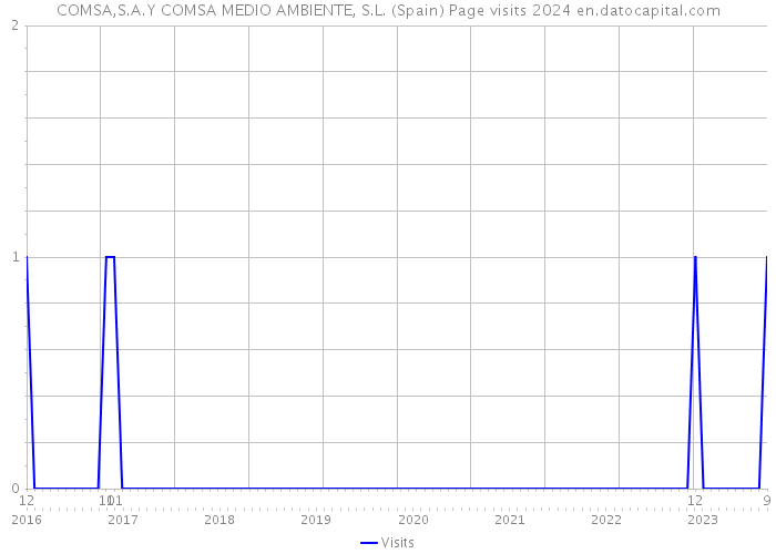COMSA,S.A.Y COMSA MEDIO AMBIENTE, S.L. (Spain) Page visits 2024 