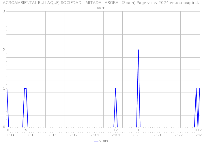 AGROAMBIENTAL BULLAQUE, SOCIEDAD LIMITADA LABORAL (Spain) Page visits 2024 