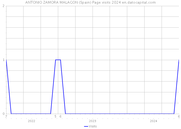 ANTONIO ZAMORA MALAGON (Spain) Page visits 2024 