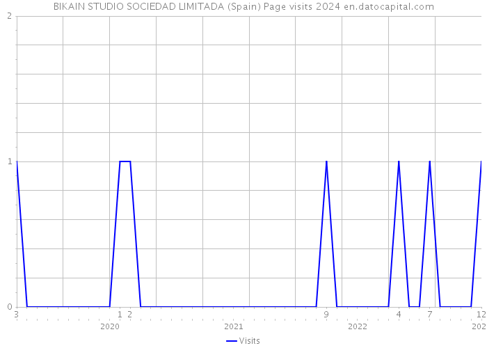 BIKAIN STUDIO SOCIEDAD LIMITADA (Spain) Page visits 2024 