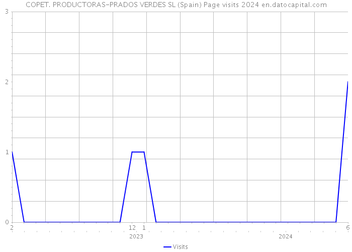 COPET. PRODUCTORAS-PRADOS VERDES SL (Spain) Page visits 2024 