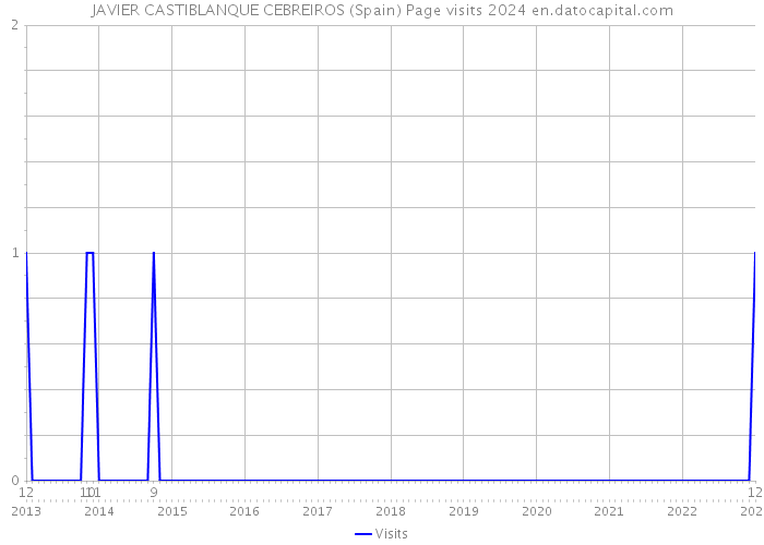 JAVIER CASTIBLANQUE CEBREIROS (Spain) Page visits 2024 