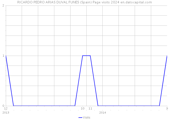 RICARDO PEDRO ARIAS DUVAL FUNES (Spain) Page visits 2024 