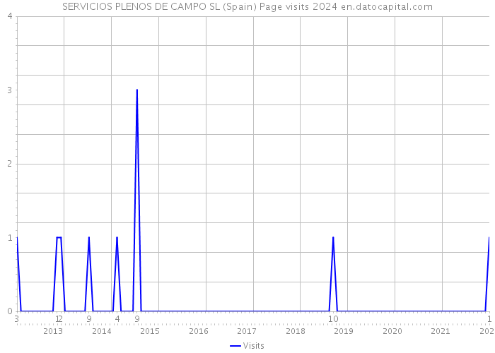 SERVICIOS PLENOS DE CAMPO SL (Spain) Page visits 2024 