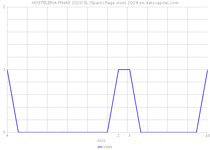HOSTELERIA PINAR 2020 SL (Spain) Page visits 2024 