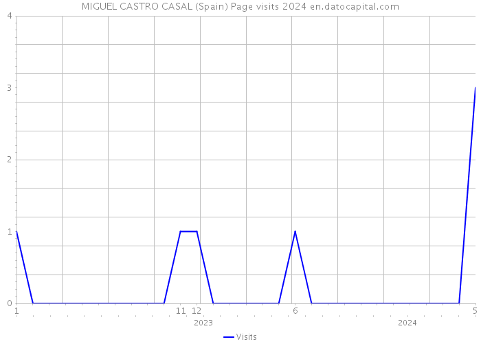 MIGUEL CASTRO CASAL (Spain) Page visits 2024 