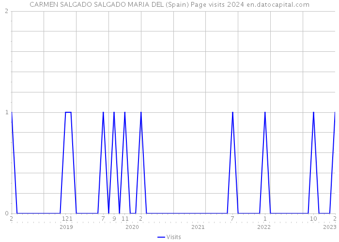 CARMEN SALGADO SALGADO MARIA DEL (Spain) Page visits 2024 