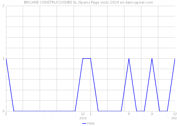 BRICARE CONSTRUCCIONES SL (Spain) Page visits 2024 