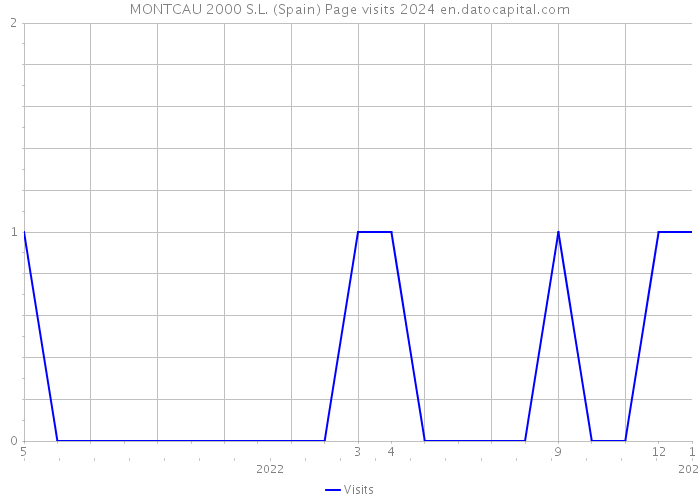 MONTCAU 2000 S.L. (Spain) Page visits 2024 