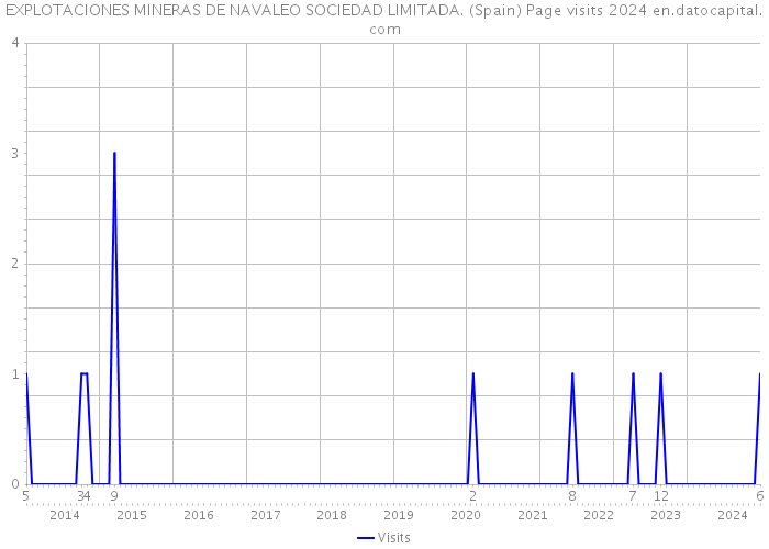 EXPLOTACIONES MINERAS DE NAVALEO SOCIEDAD LIMITADA. (Spain) Page visits 2024 