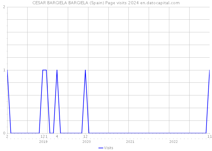CESAR BARGIELA BARGIELA (Spain) Page visits 2024 