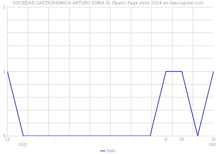 SOCIEDAD GASTRONOMICA ARTURO SORIA SL (Spain) Page visits 2024 