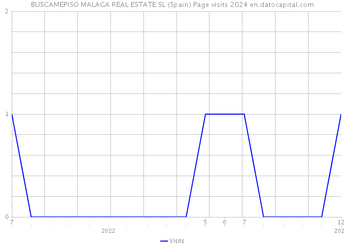 BUSCAMEPISO MALAGA REAL ESTATE SL (Spain) Page visits 2024 